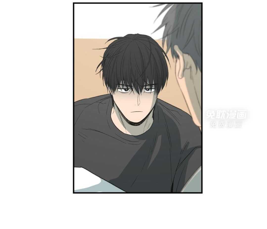 同情的形式（共3季） 第253话 第29页