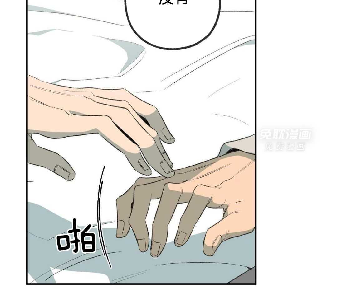 同情的形式（共3季） 第254话 第1页