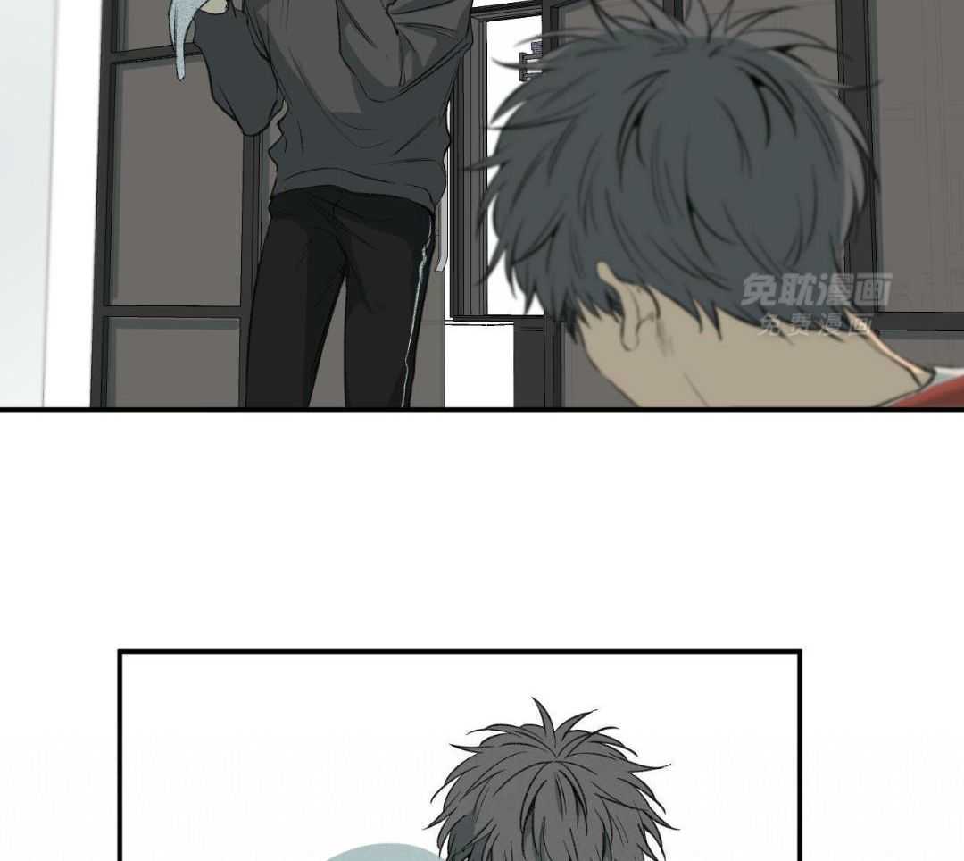 同情的形式（共3季） 第254话 第11页