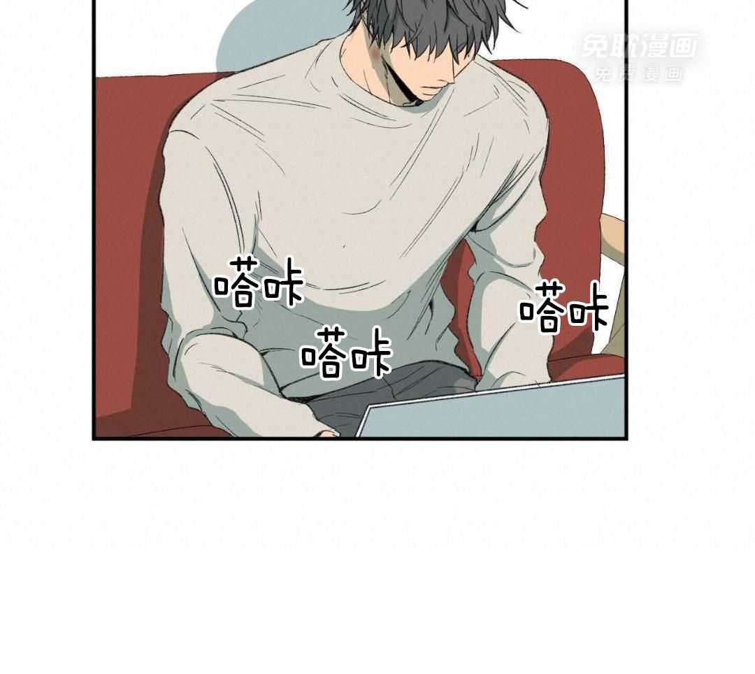 同情的形式（共3季） 第254话 第12页