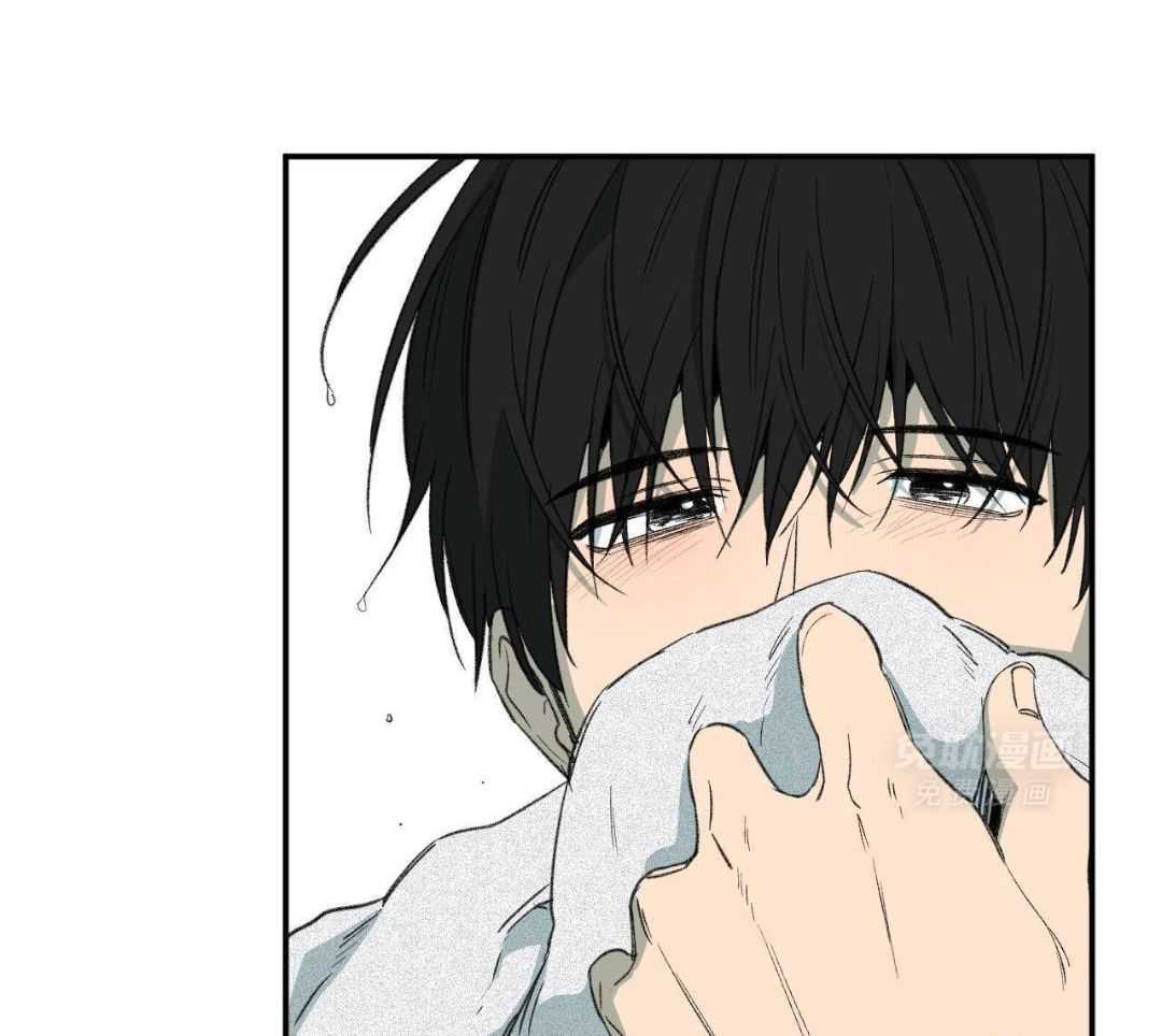 同情的形式（共3季） 第254话 第13页