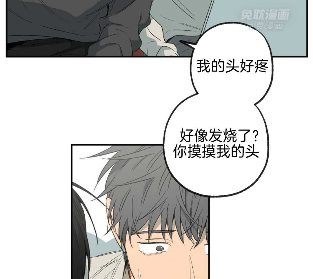 同情的形式（共3季） 第254话 第17页