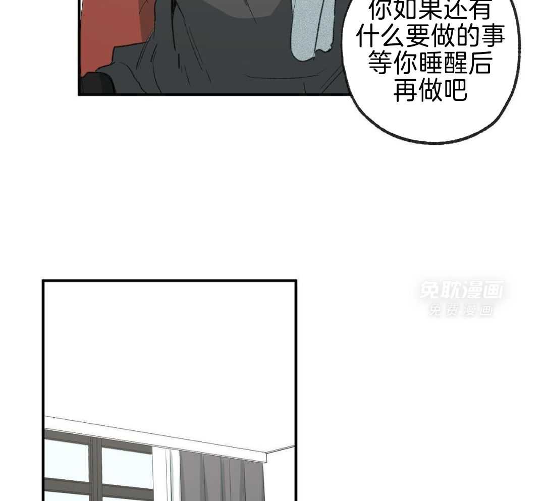 同情的形式（共3季） 第254话 第21页