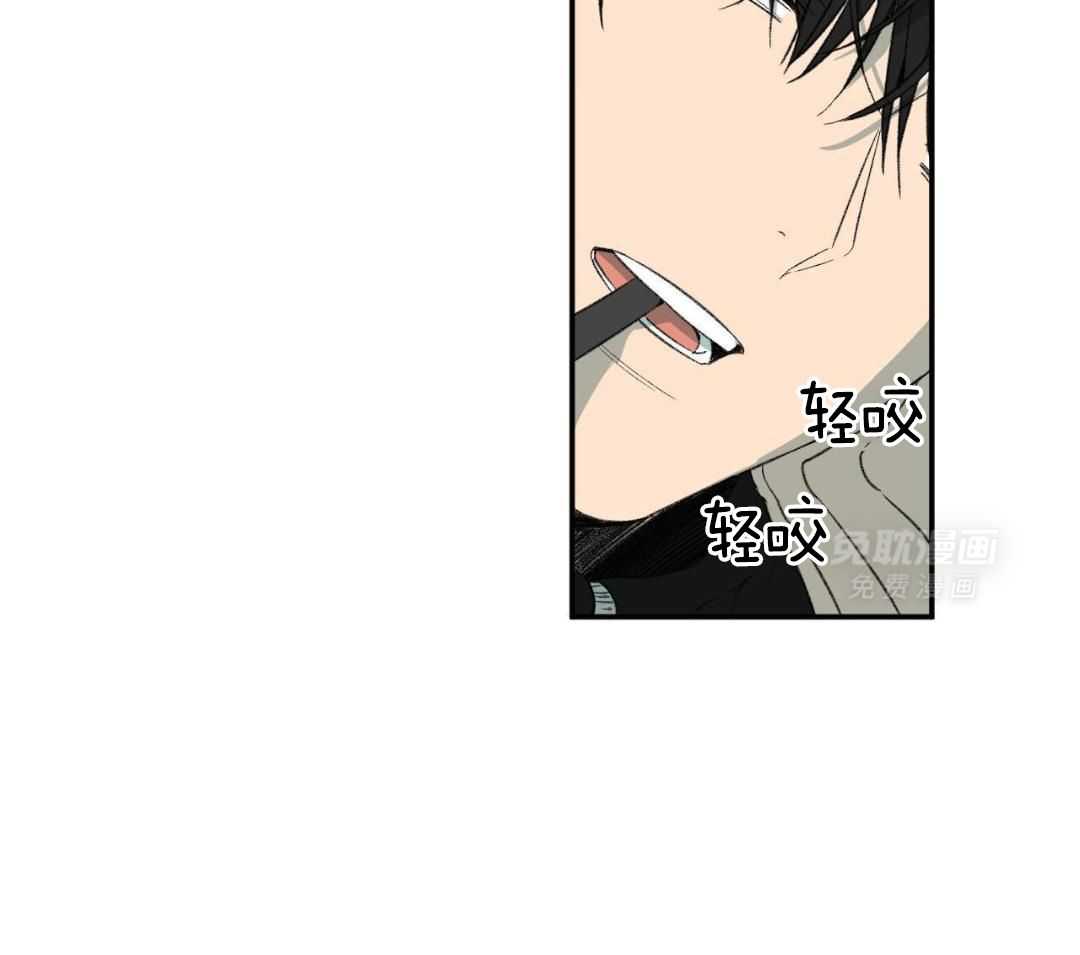 同情的形式（共3季） 第255话 第5页