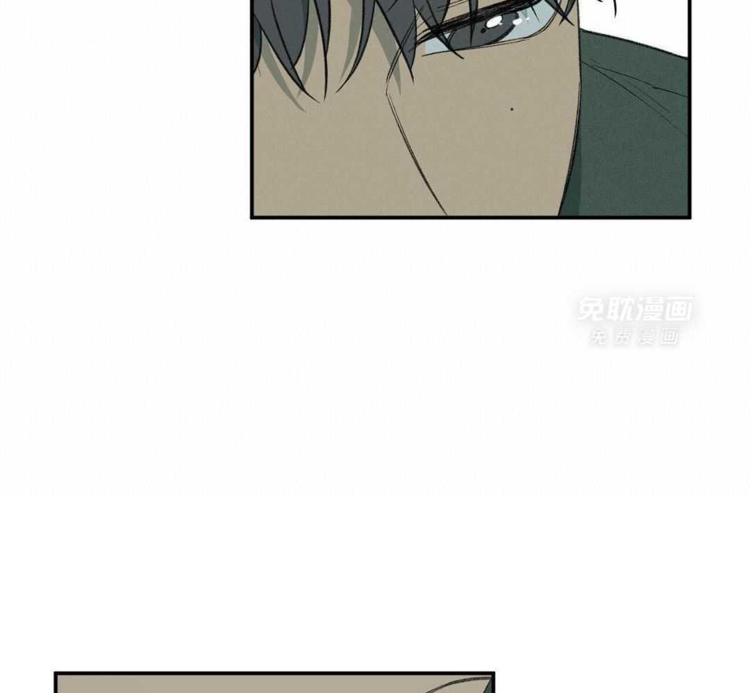 同情的形式（共3季） 第255话 第11页