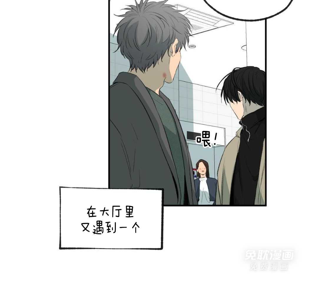 同情的形式（共3季） 第255话 第28页