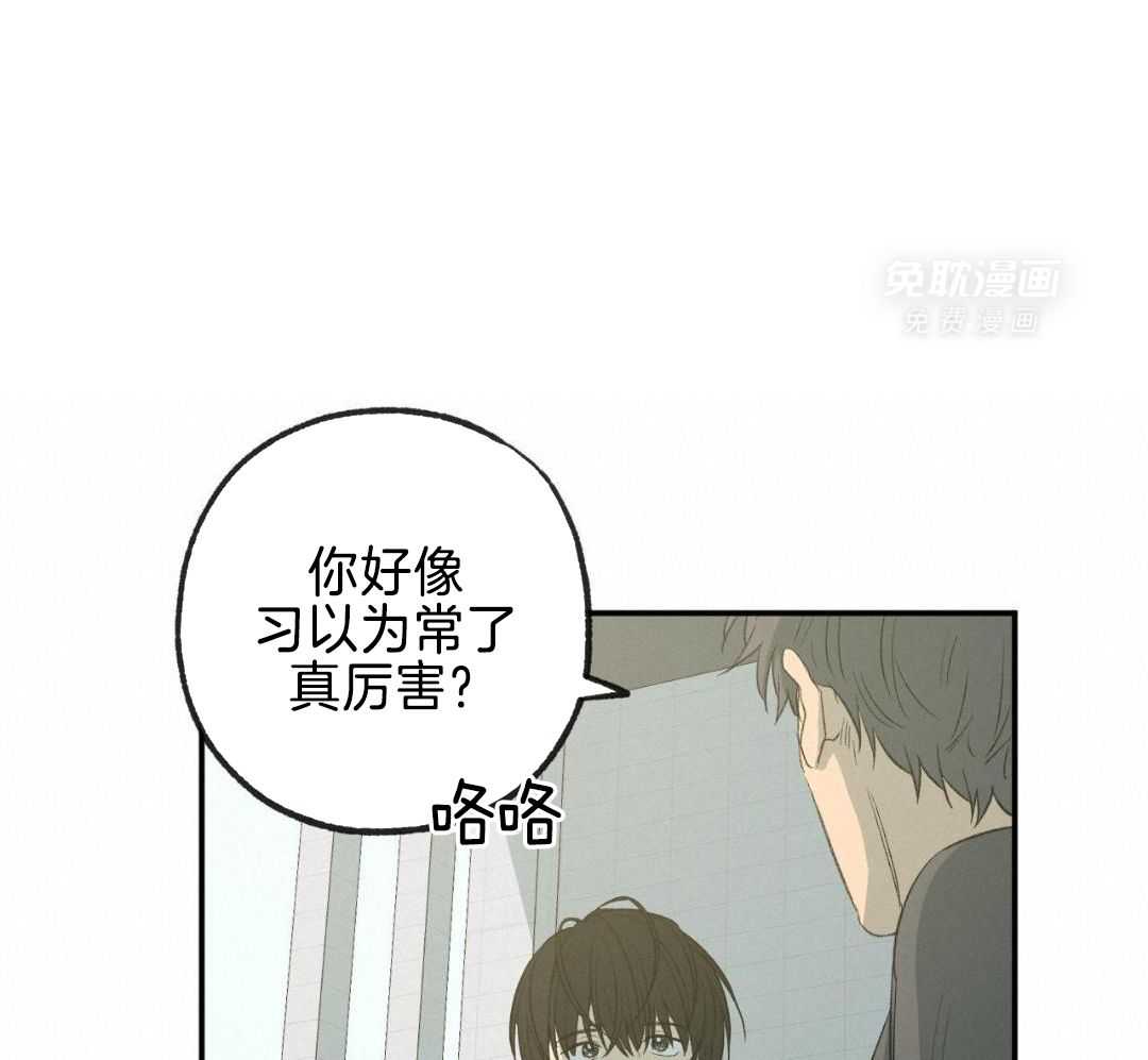 同情的形式（共3季） 第255话 第29页