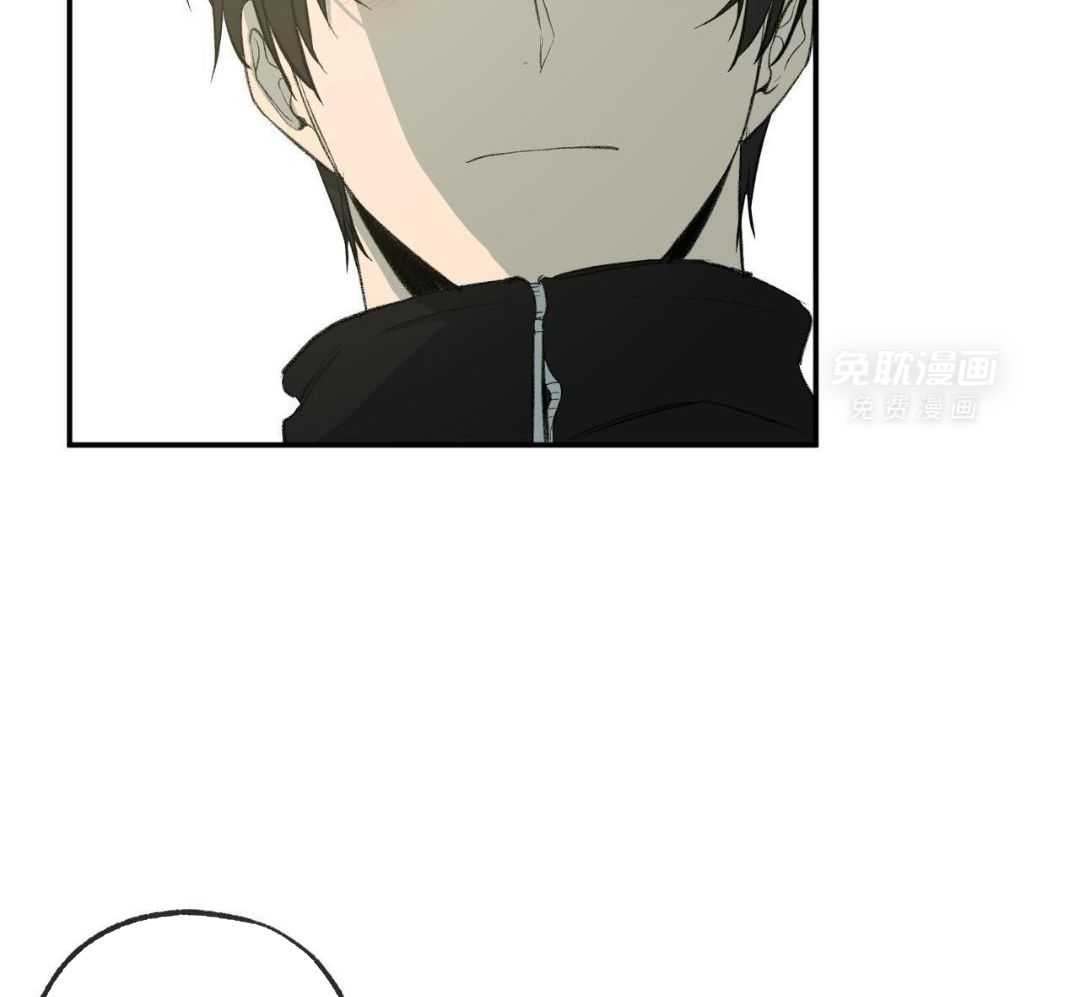 同情的形式（共3季） 第255话 第31页