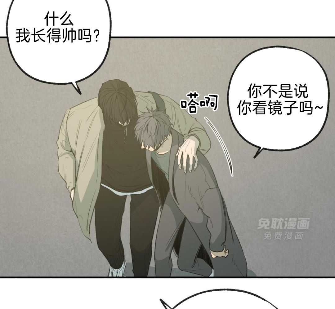 同情的形式（共3季） 第255话 第32页