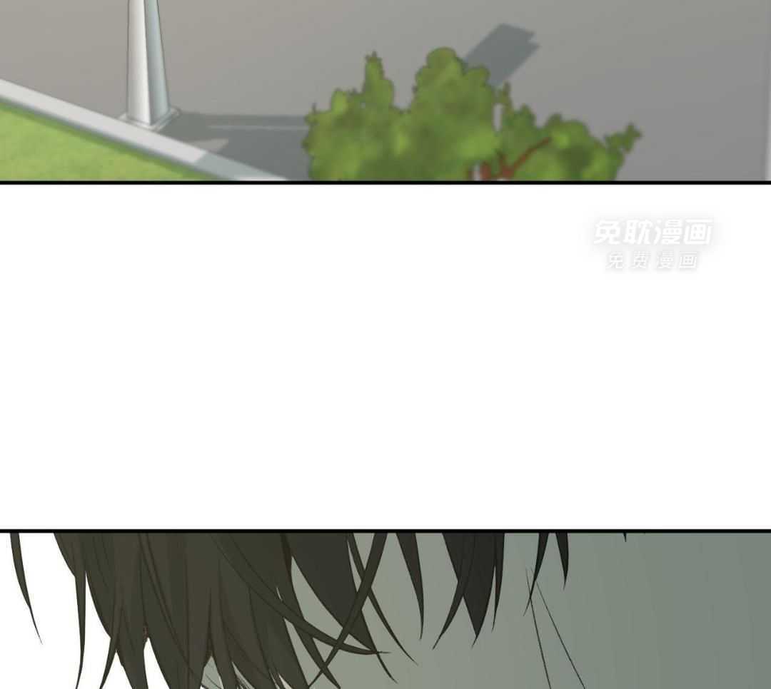 同情的形式（共3季） 第255话 第37页