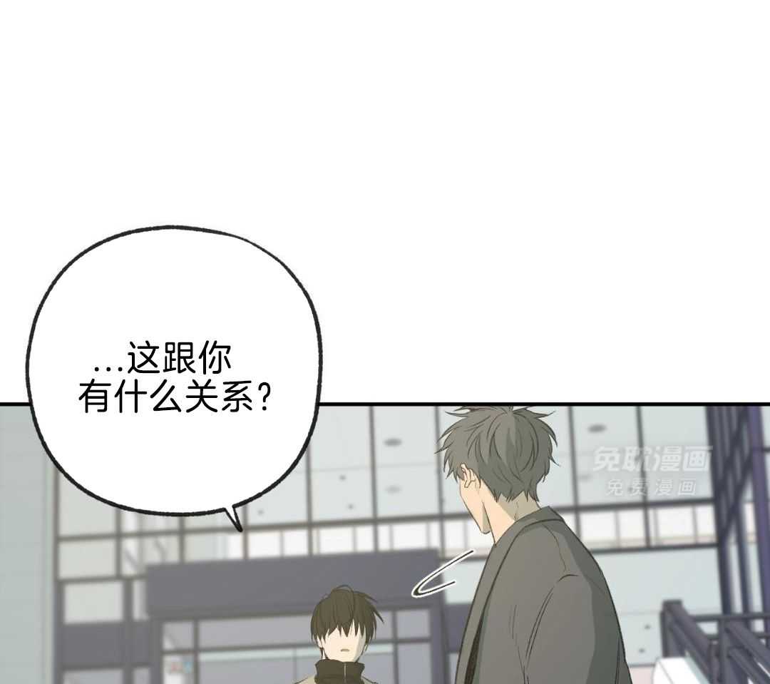 同情的形式（共3季） 第256话 第5页