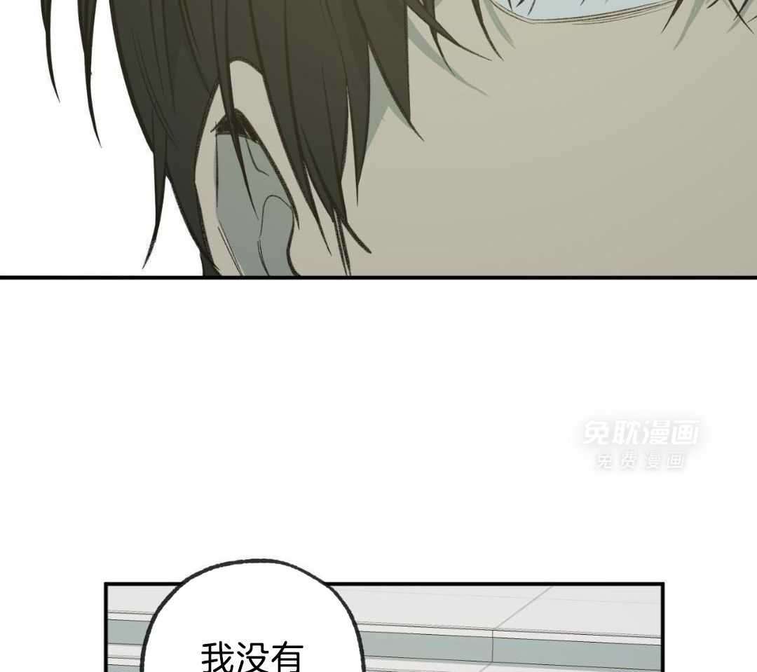 同情的形式（共3季） 第256话 第11页