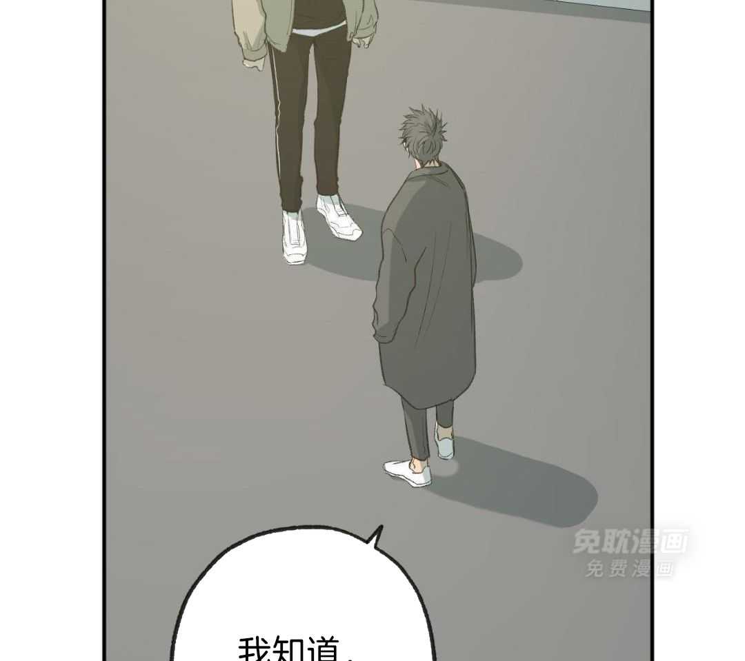 同情的形式（共3季） 第256话 第13页