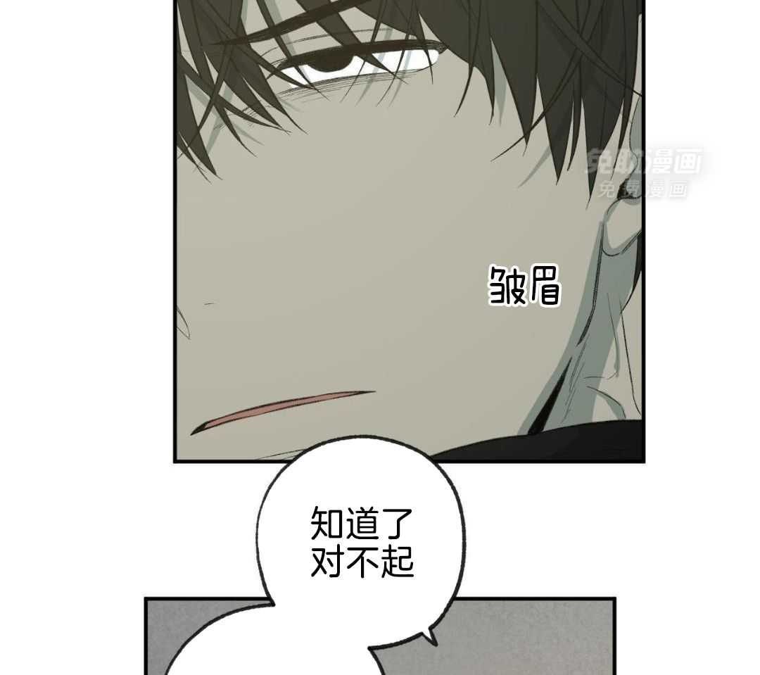 同情的形式（共3季） 第256话 第16页