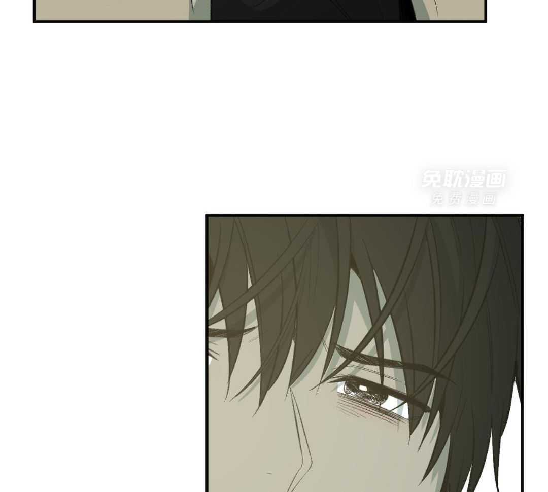 同情的形式（共3季） 第256话 第21页