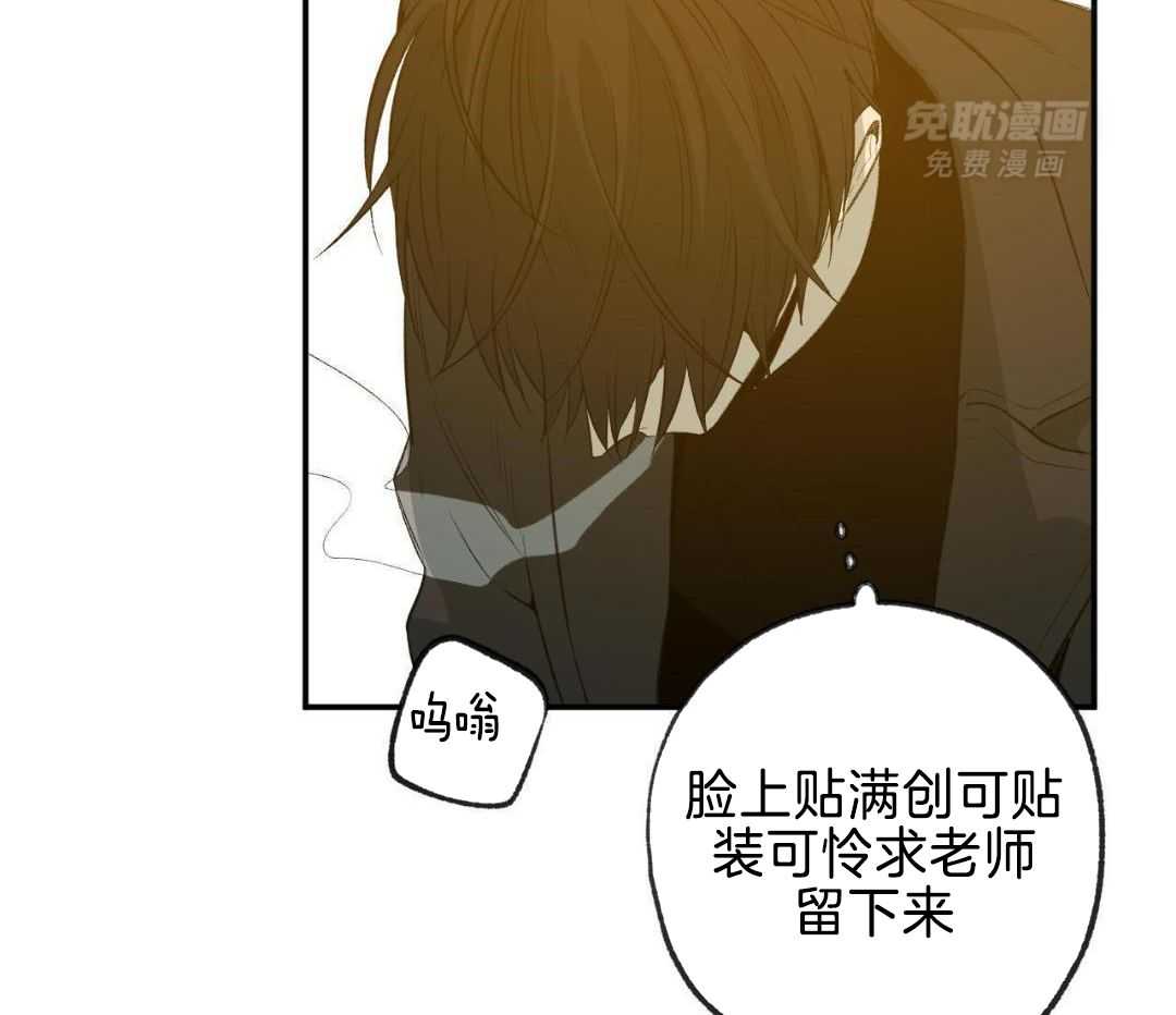 同情的形式（共3季） 第256话 第32页