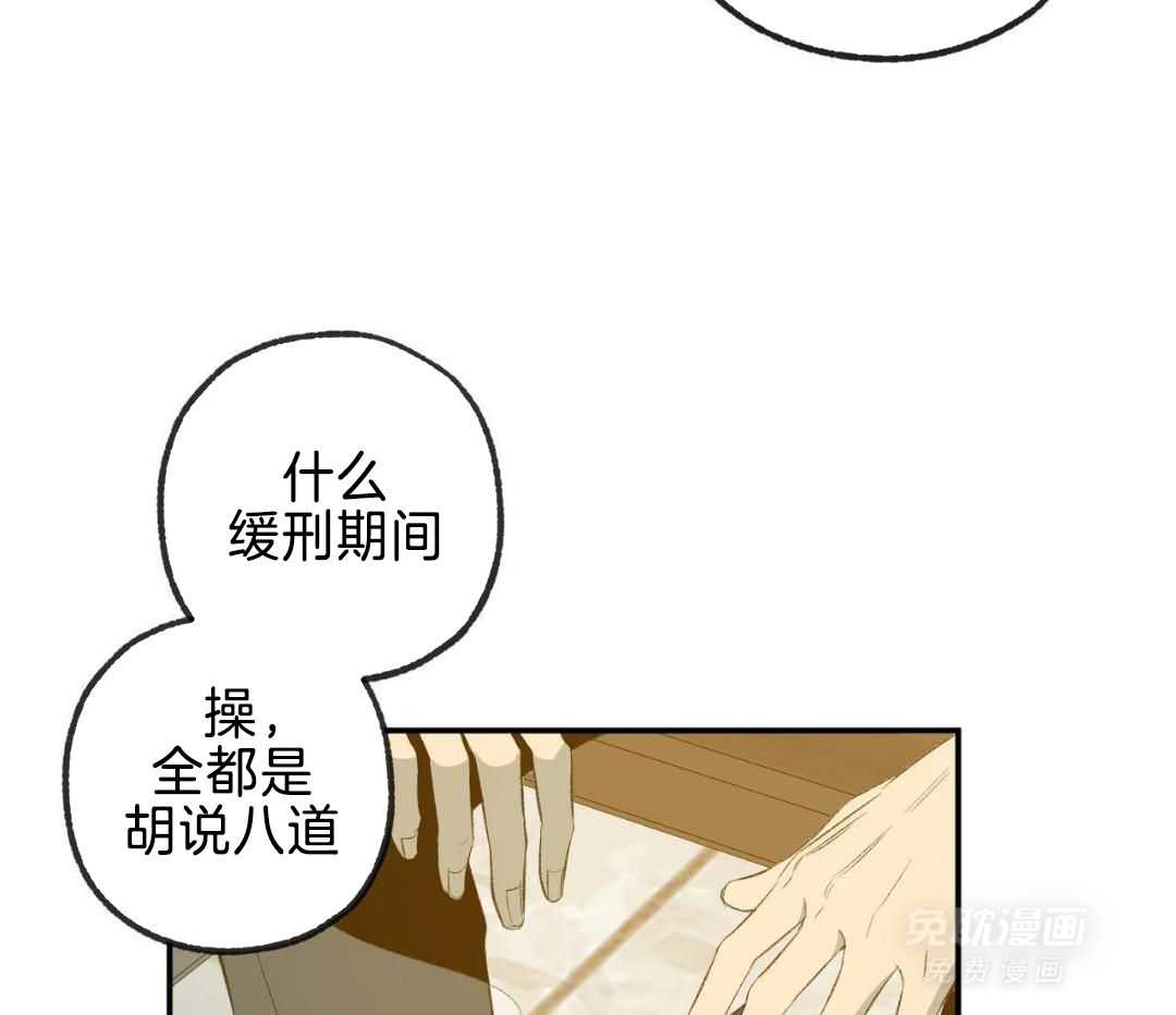 同情的形式（共3季） 第256话 第33页