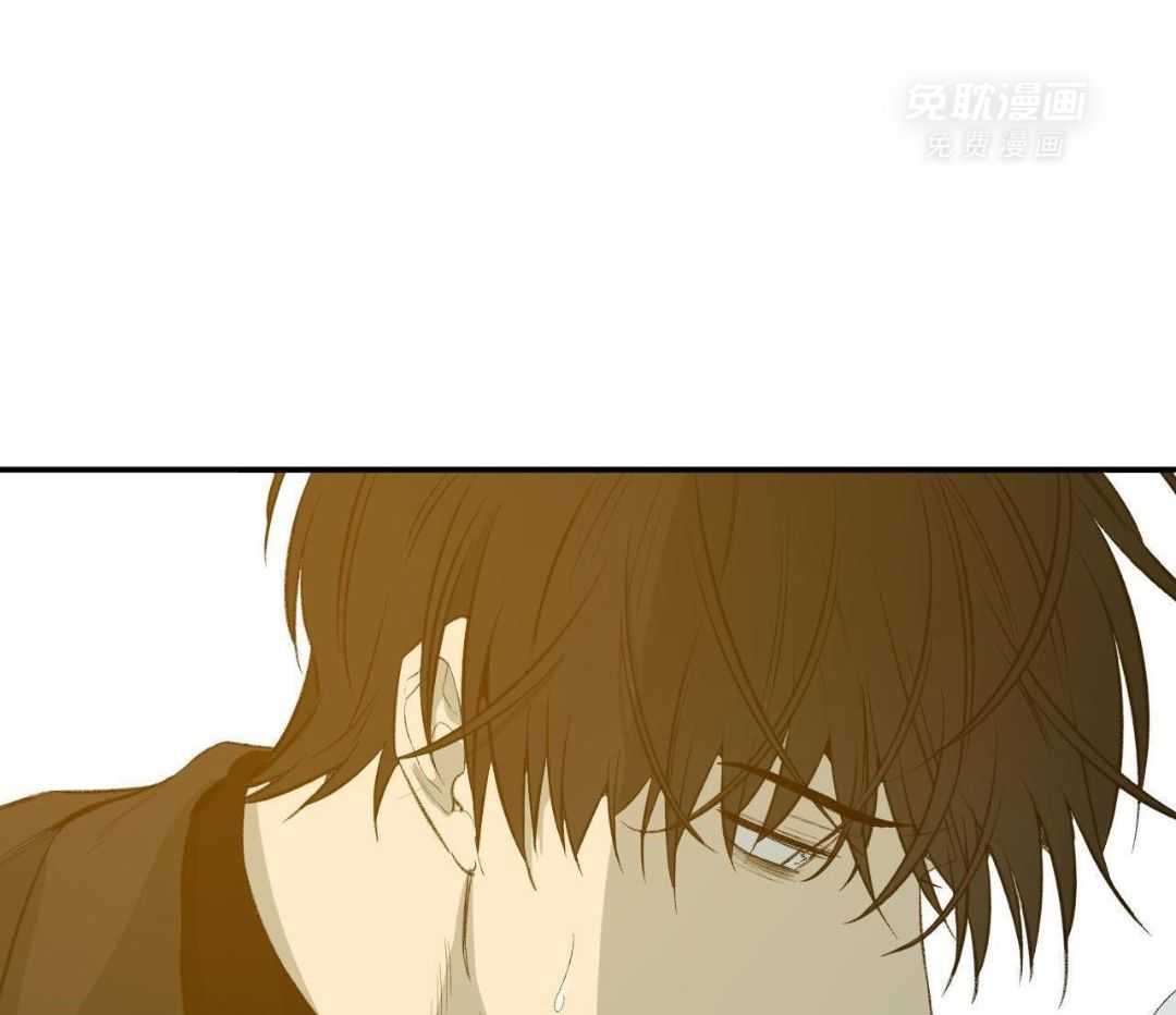 同情的形式（共3季） 第256话 第36页