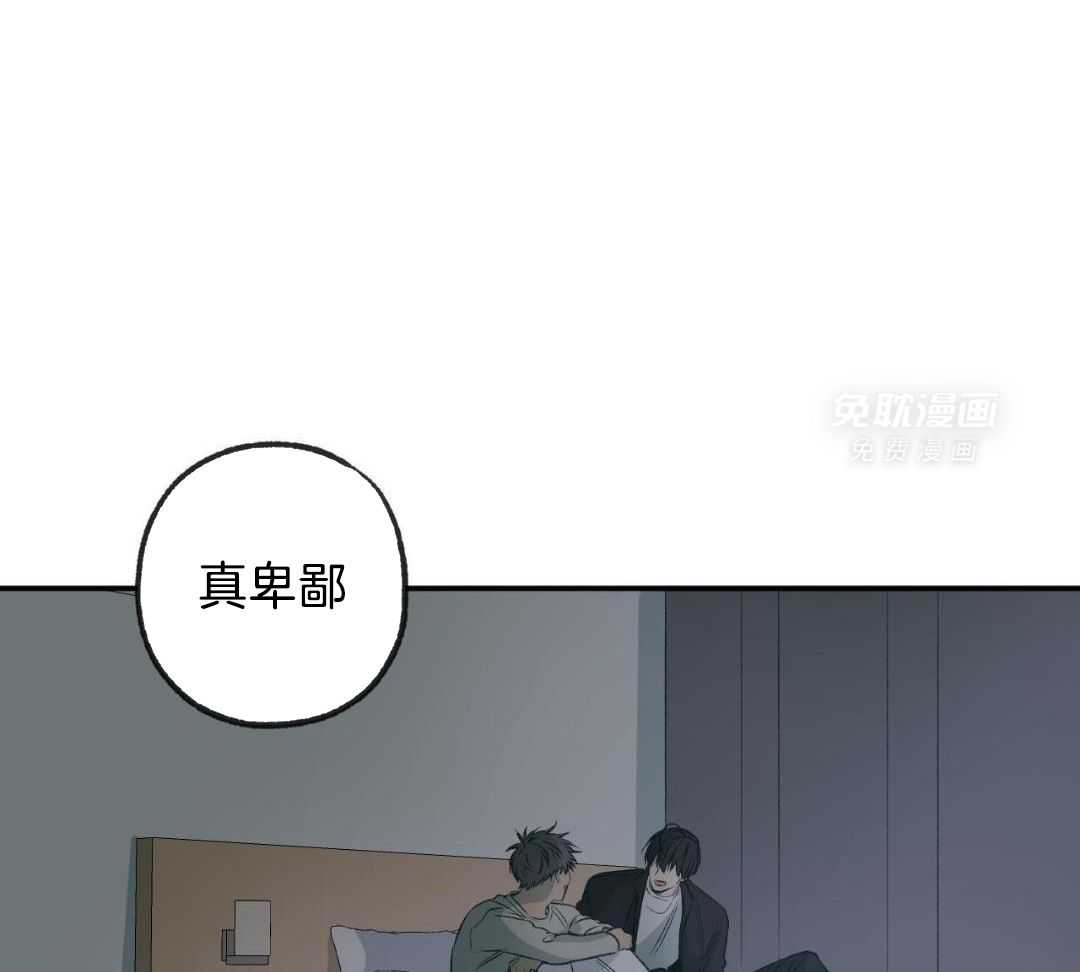 同情的形式（共3季） 第257话 第31页