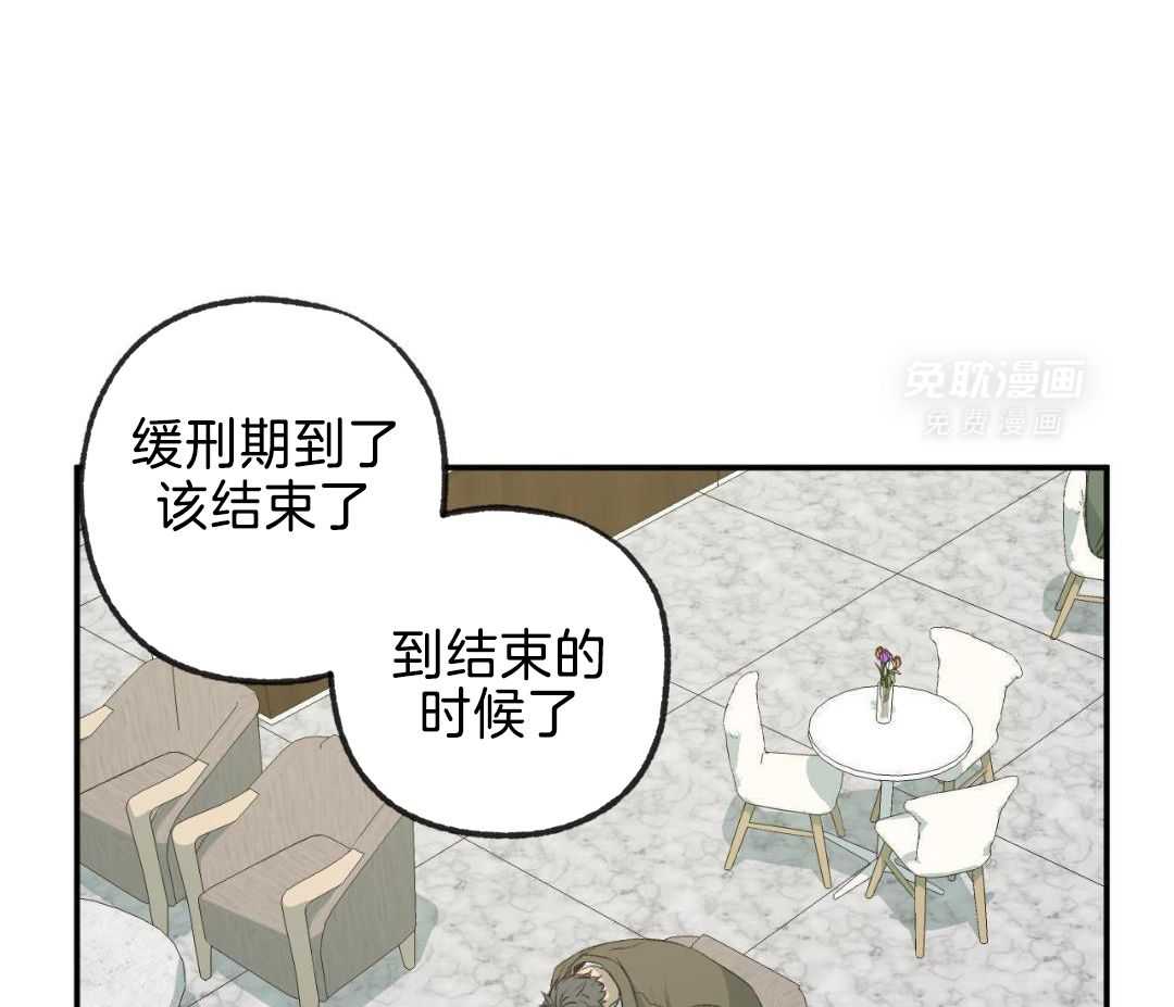 同情的形式（共3季） 第257话 第37页