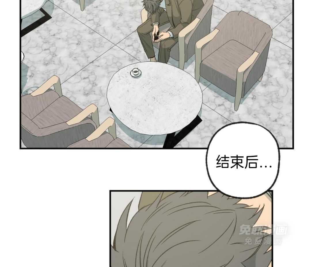 同情的形式（共3季） 第257话 第38页