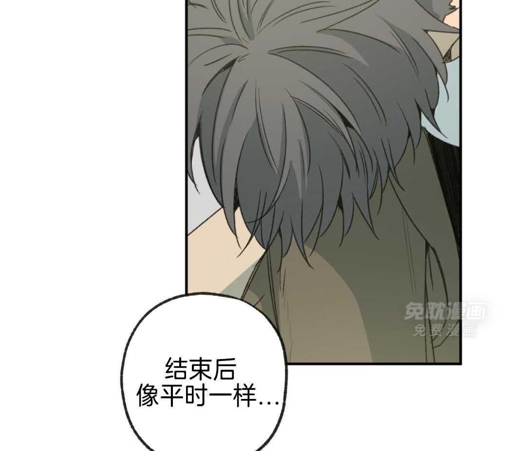 同情的形式（共3季） 第257话 第39页