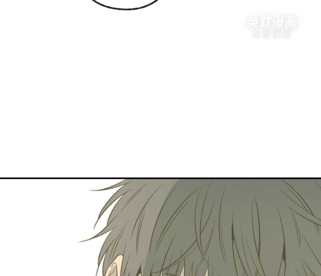 同情的形式（共3季） 第257话 第40页