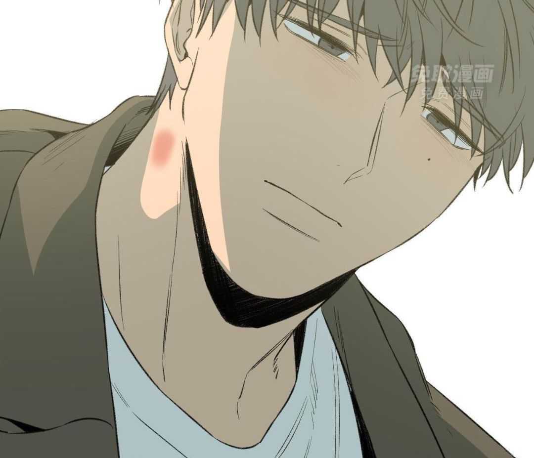 同情的形式（共3季） 第257话 第41页