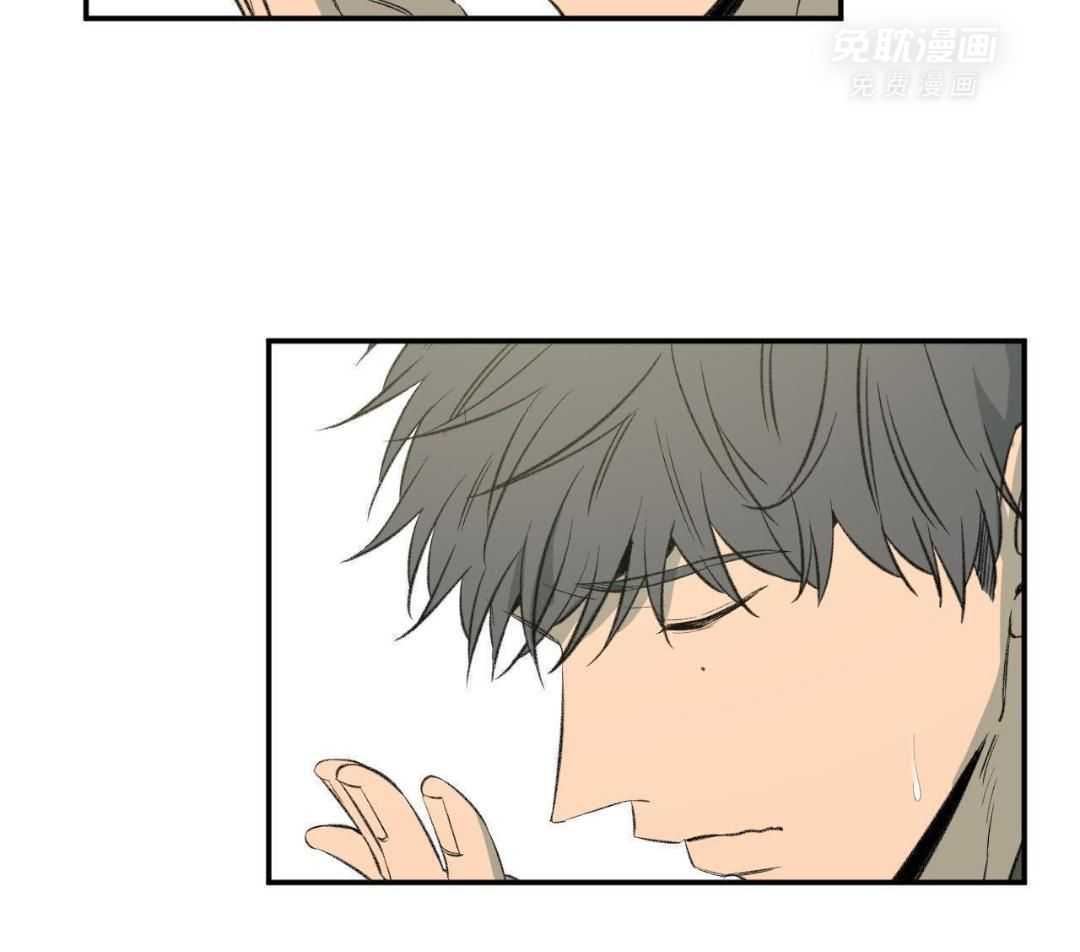 同情的形式（共3季） 第258话 第24页