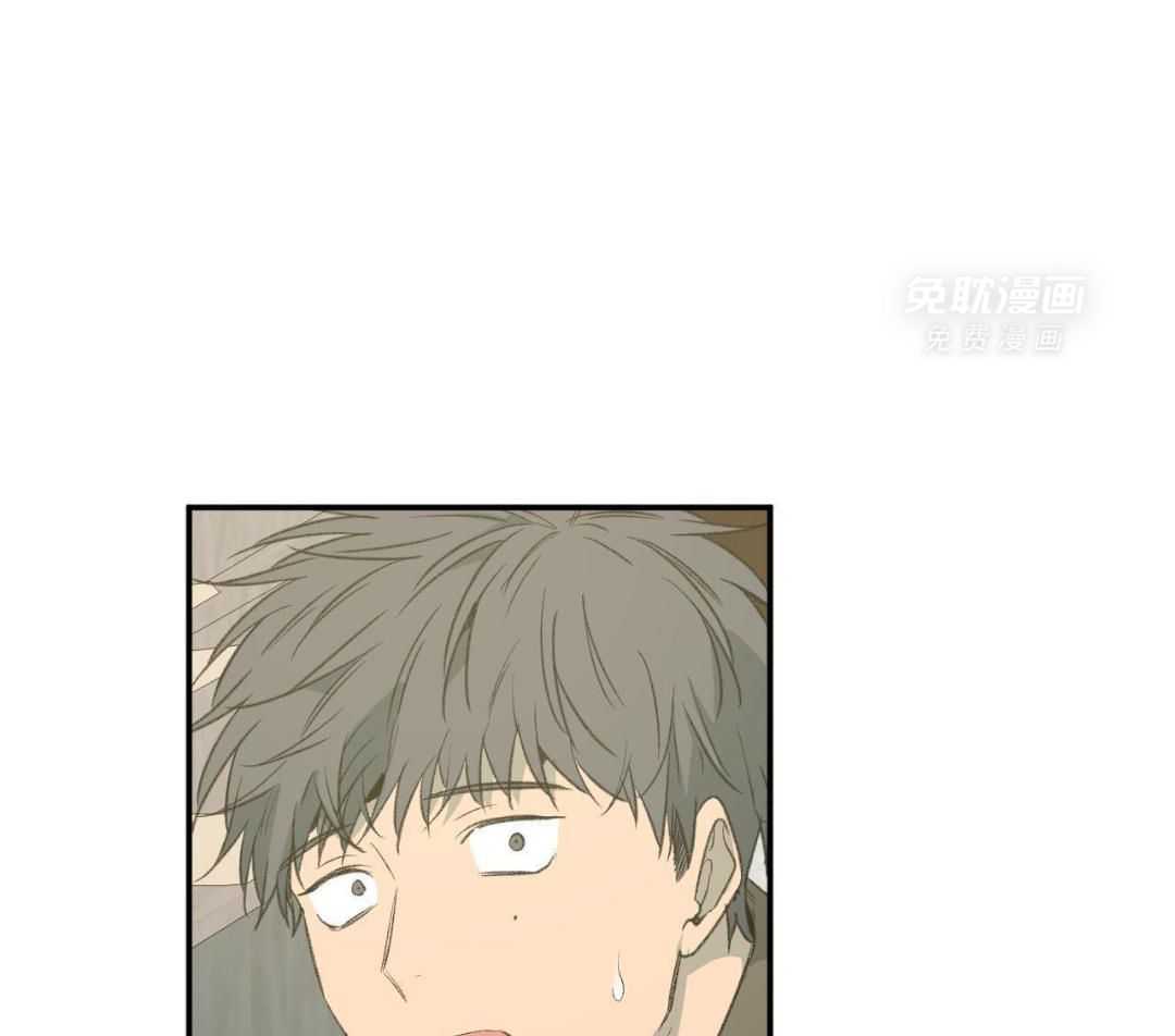 同情的形式（共3季） 第258话 第31页