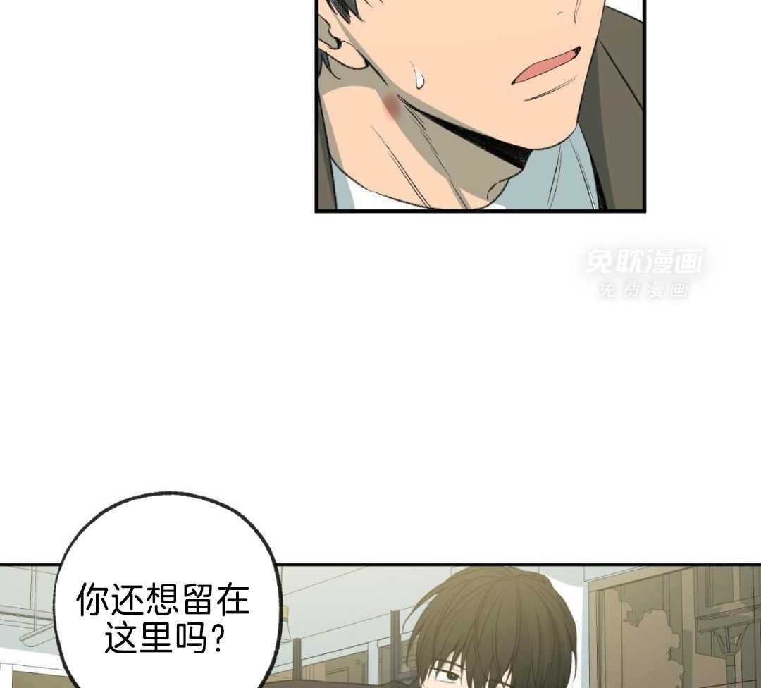 同情的形式（共3季） 第259话 第2页