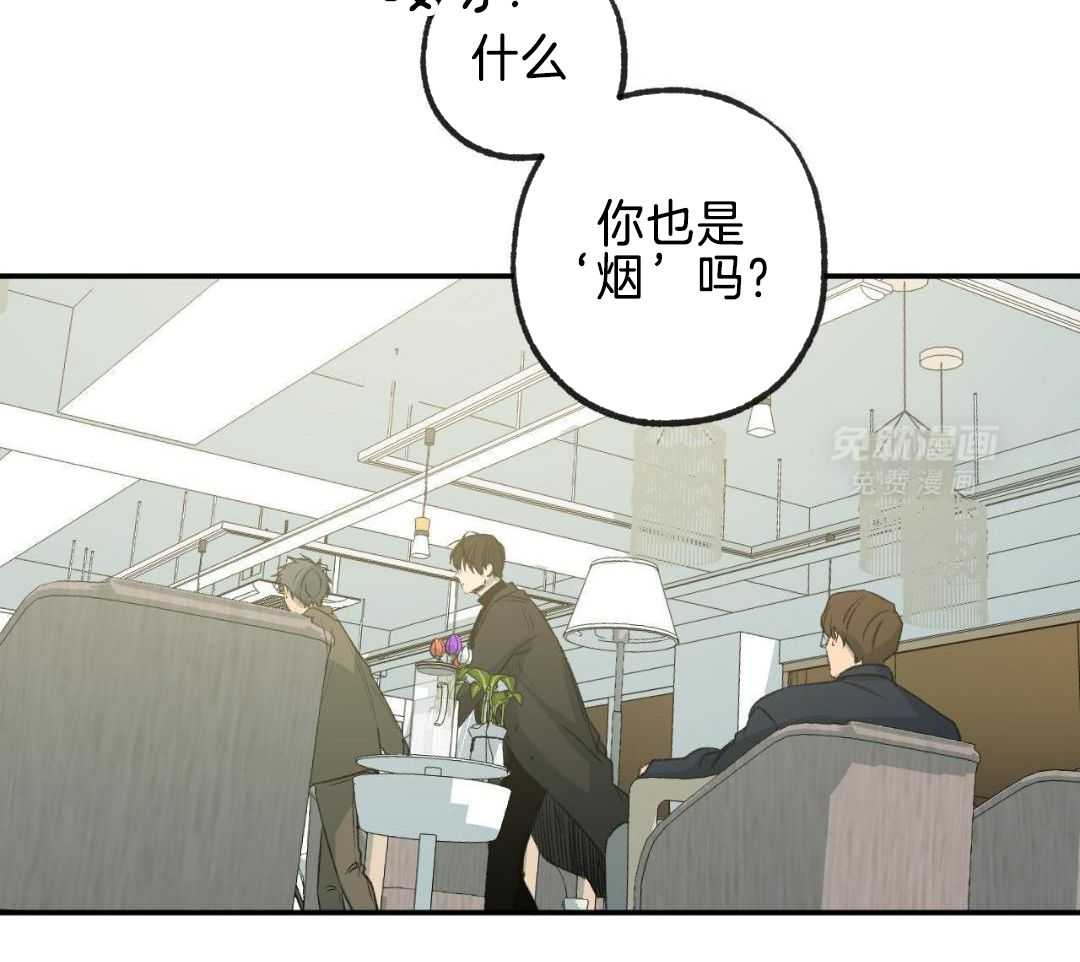 同情的形式（共3季） 第259话 第10页