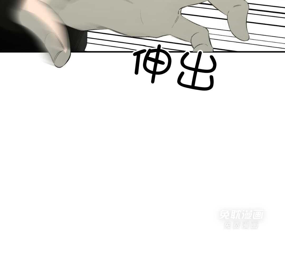 同情的形式（共3季） 第259话 第29页