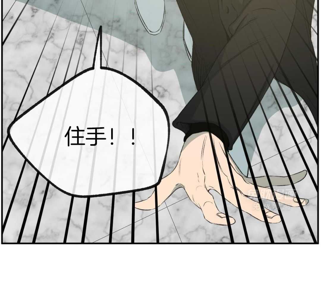 同情的形式（共3季） 第259话 第32页