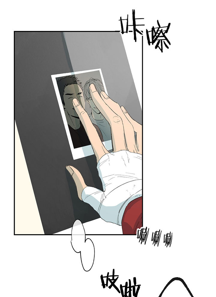 同情的形式（共3季） 第26话 第15页