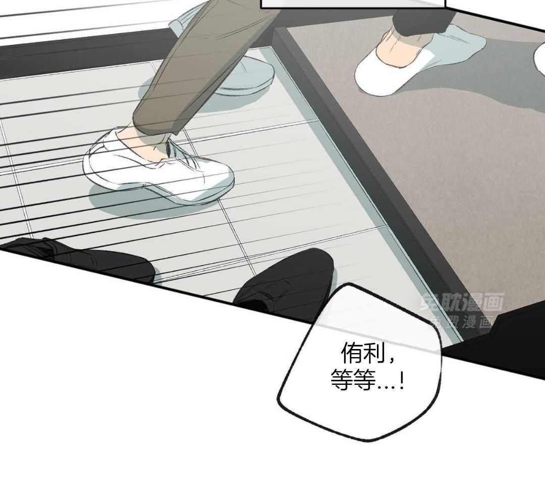 同情的形式（共3季） 第260话 第1页