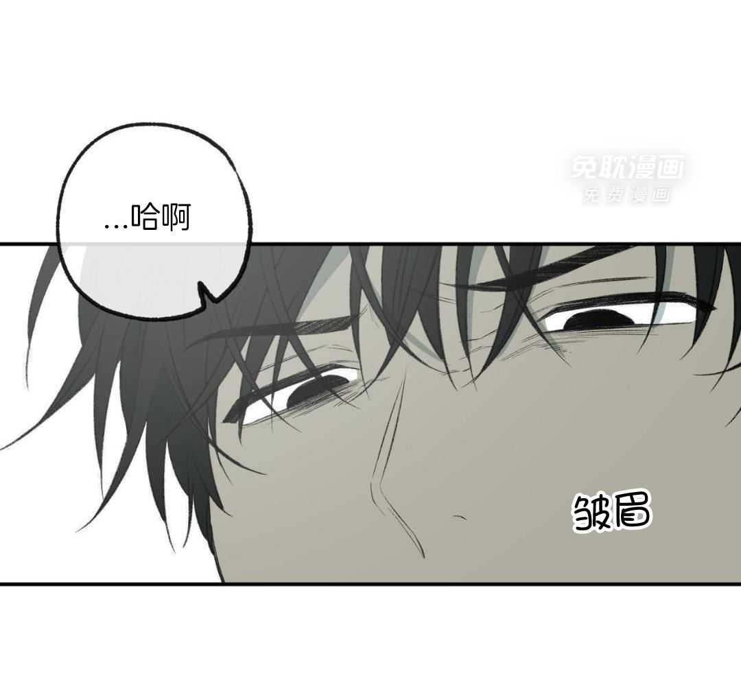 同情的形式（共3季） 第260话 第11页