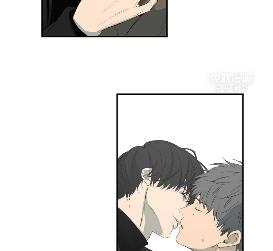 同情的形式（共3季） 第260话 第36页