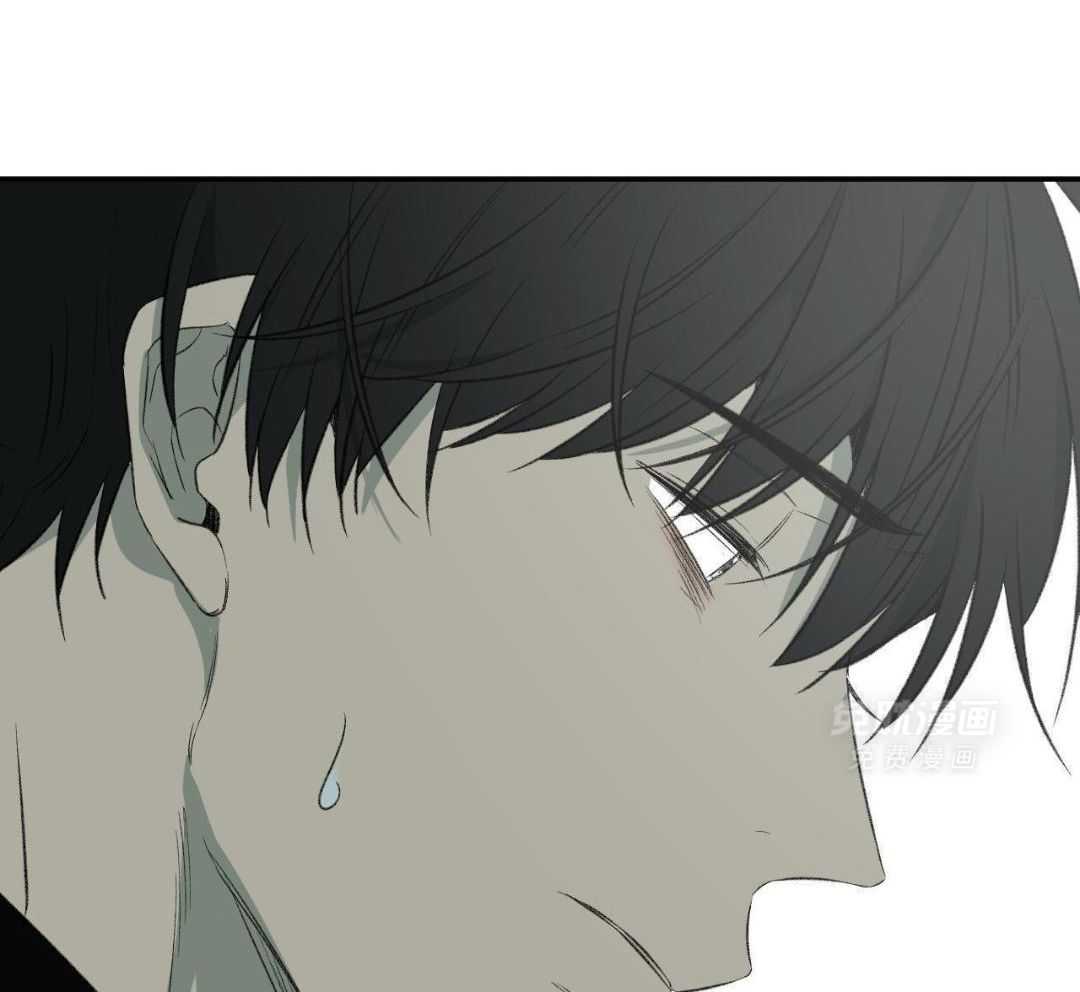 同情的形式（共3季） 第260话 第39页