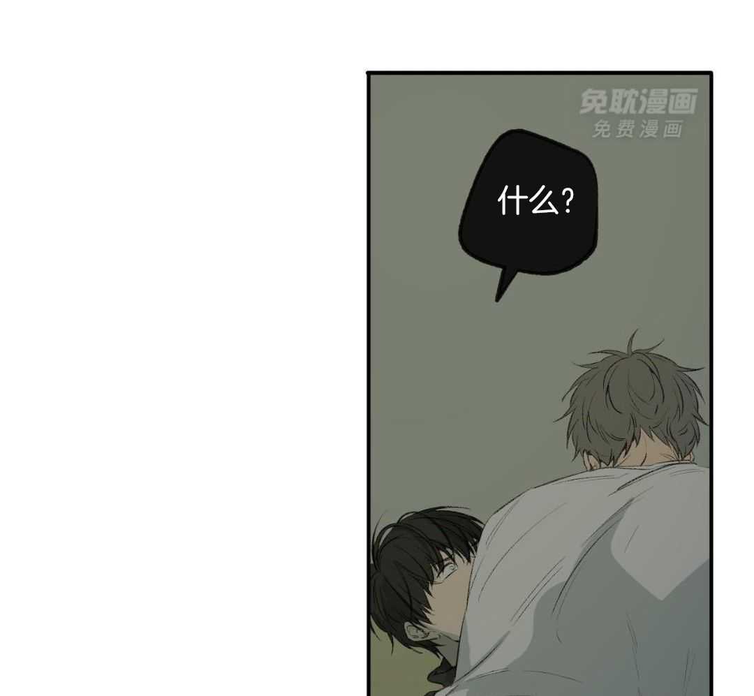 同情的形式（共3季） 第262话 第12页