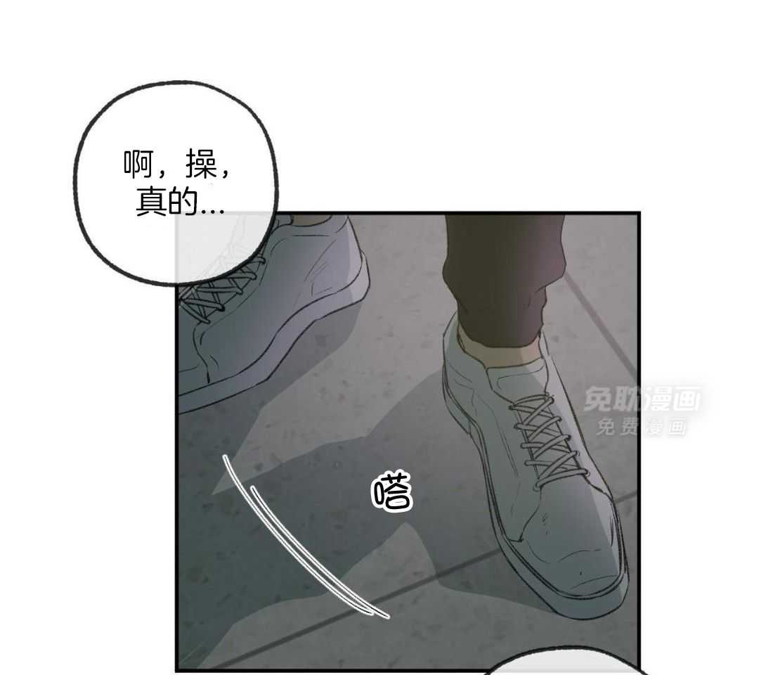 同情的形式（共3季） 第263话 第0页