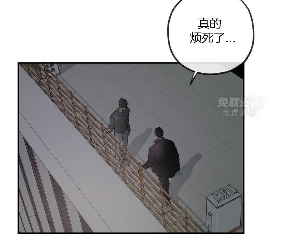 同情的形式（共3季） 第263话 第1页