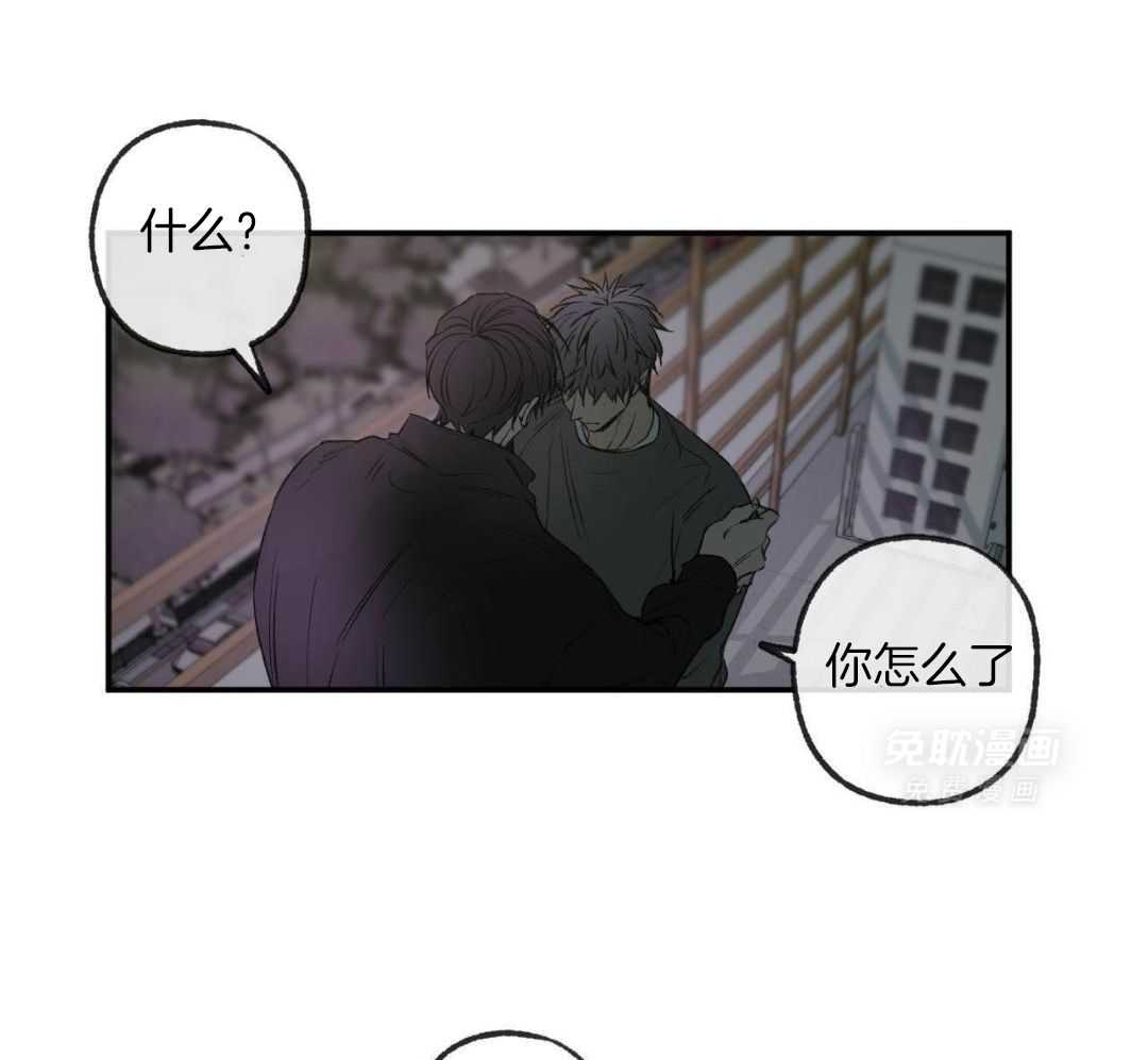 同情的形式（共3季） 第263话 第30页