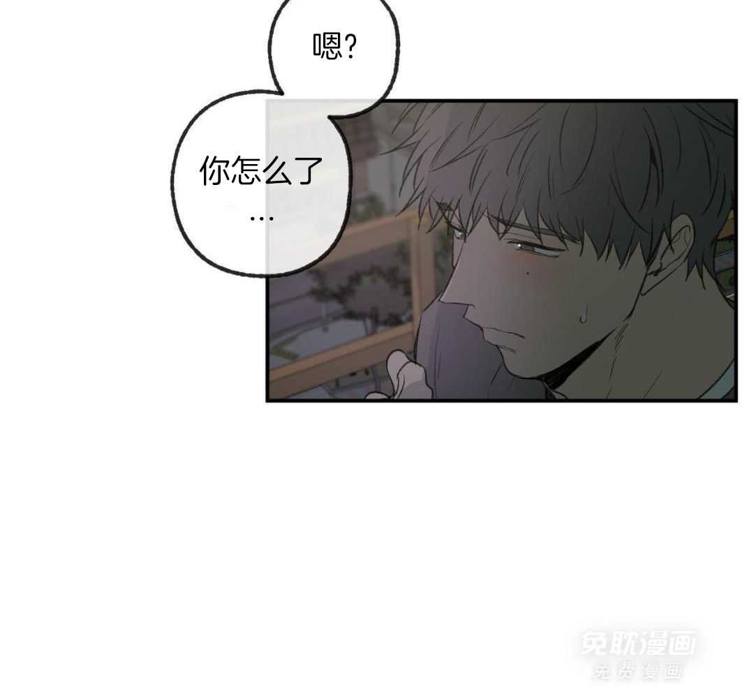 同情的形式（共3季） 第263话 第31页