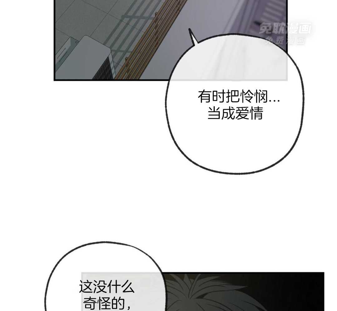 同情的形式（共3季） 第263话 第33页