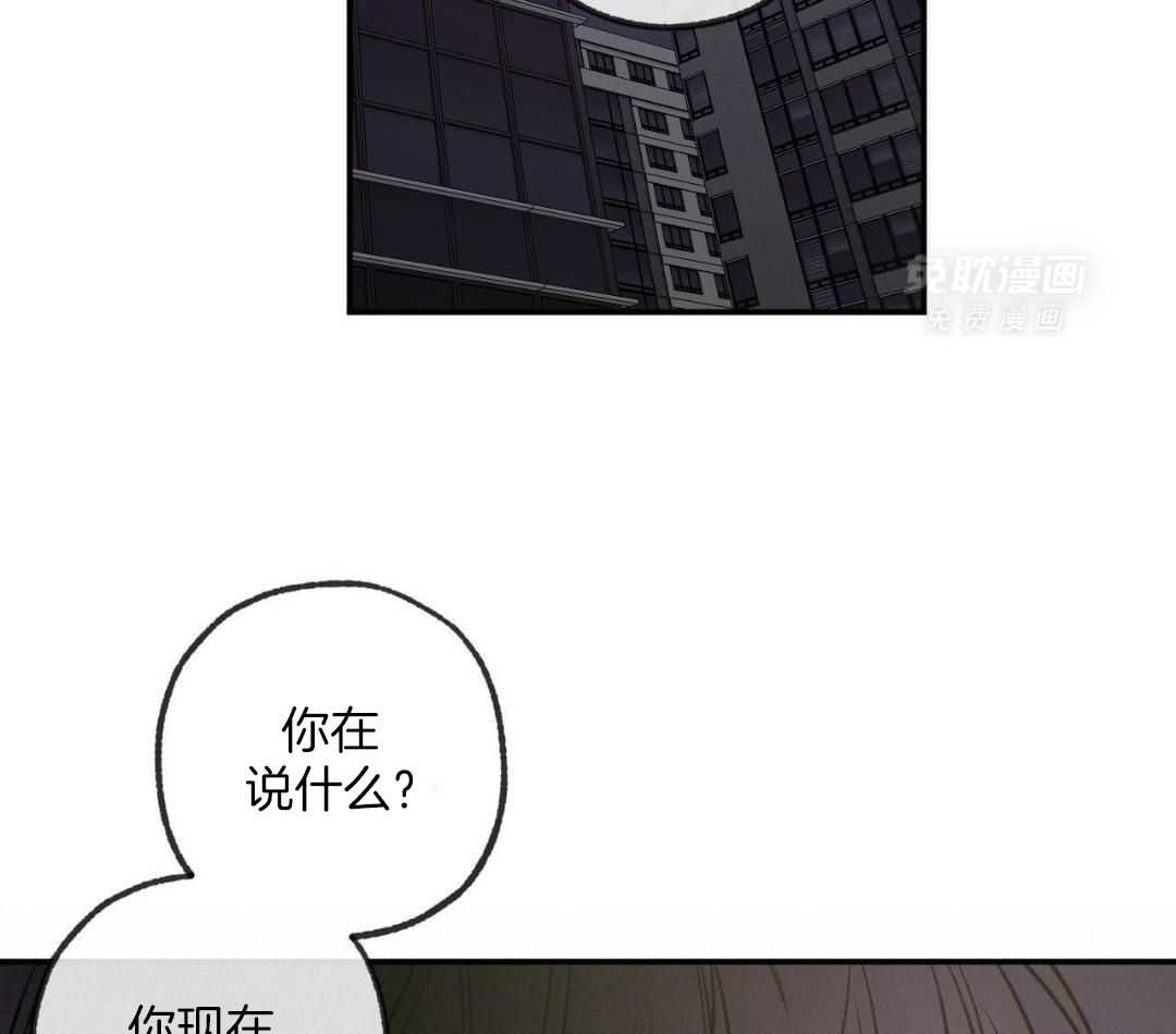 同情的形式（共3季） 第263话 第41页