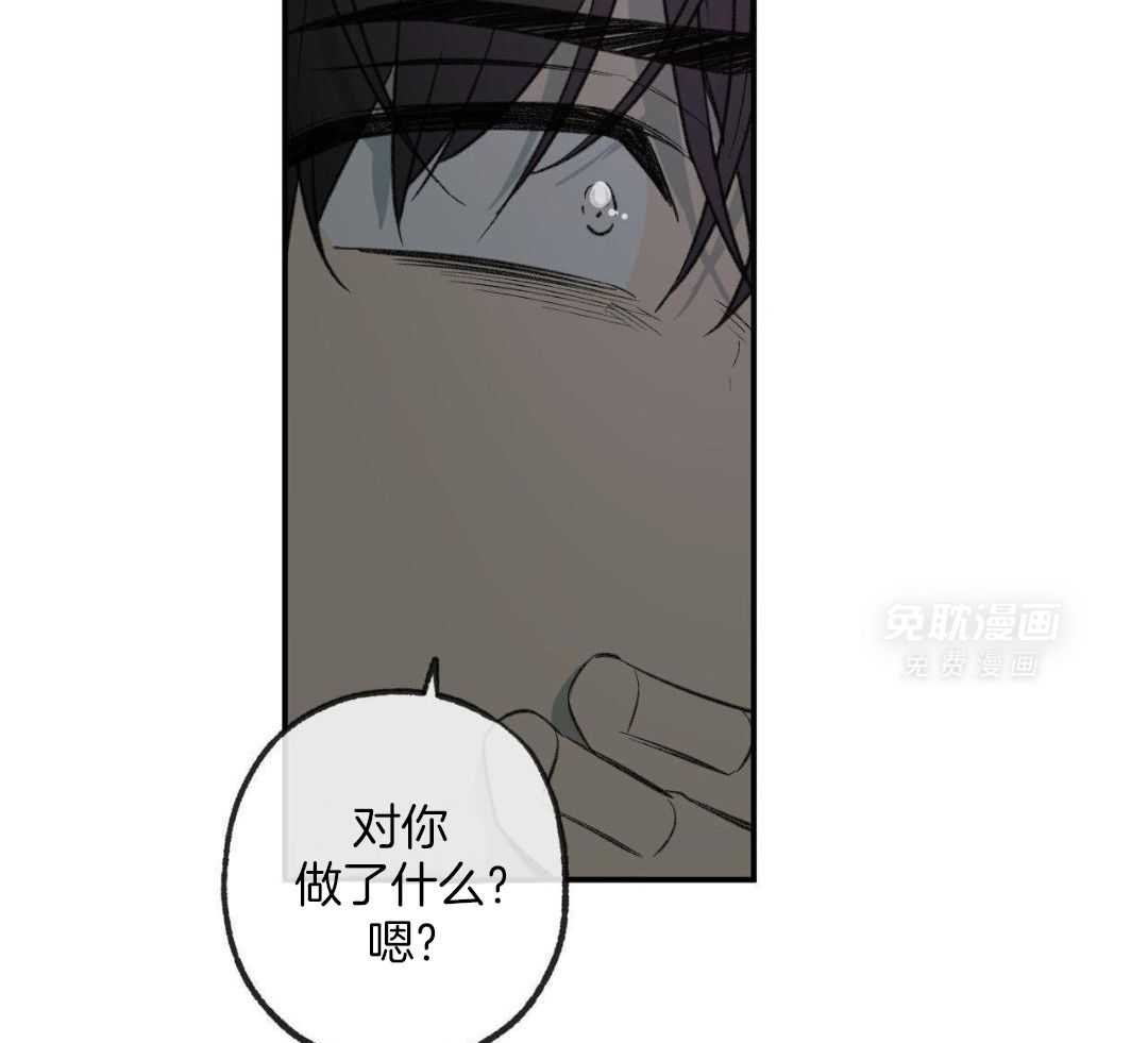 同情的形式（共3季） 第264话 第1页