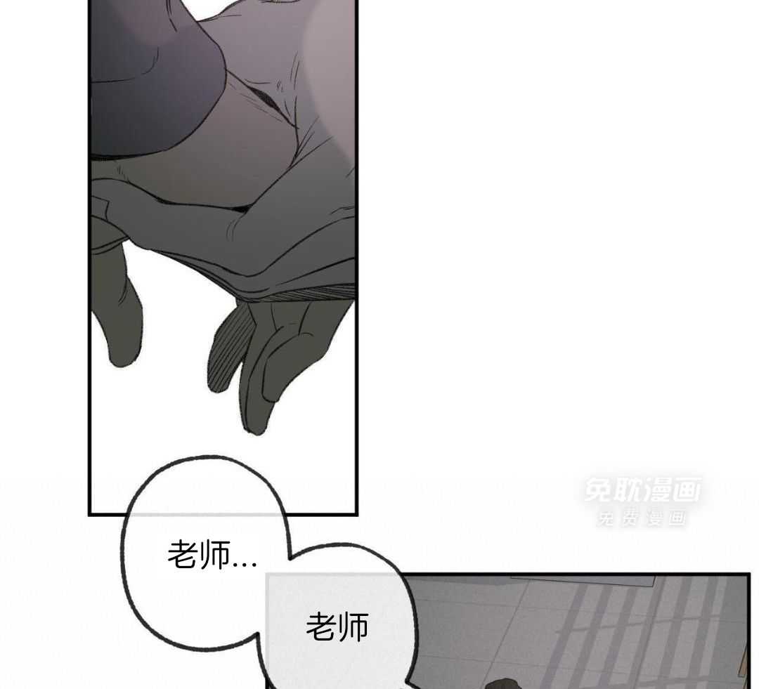 同情的形式（共3季） 第264话 第4页