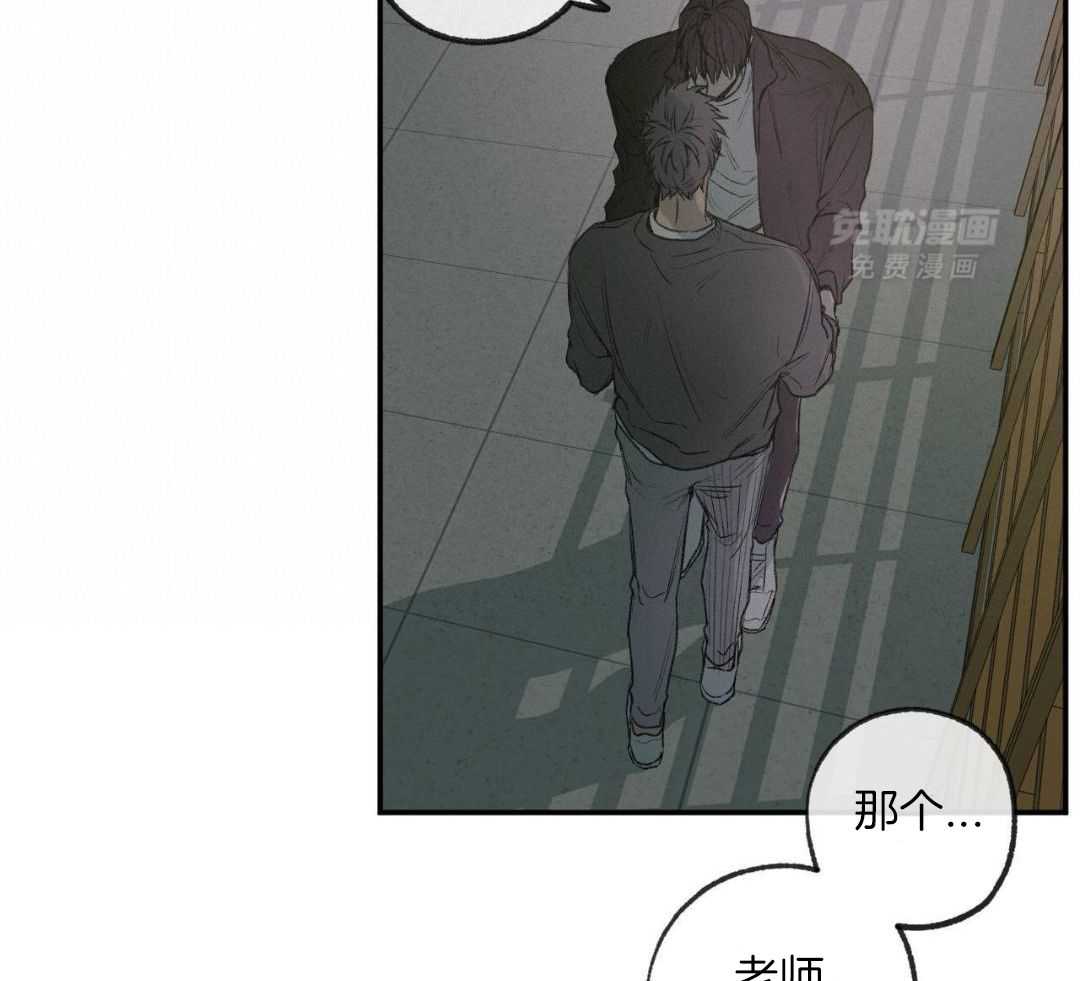 同情的形式（共3季） 第264话 第5页