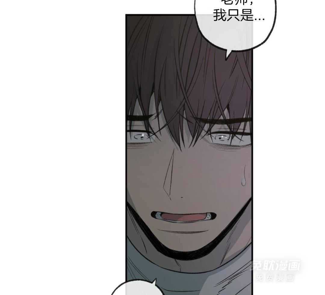 同情的形式（共3季） 第264话 第6页